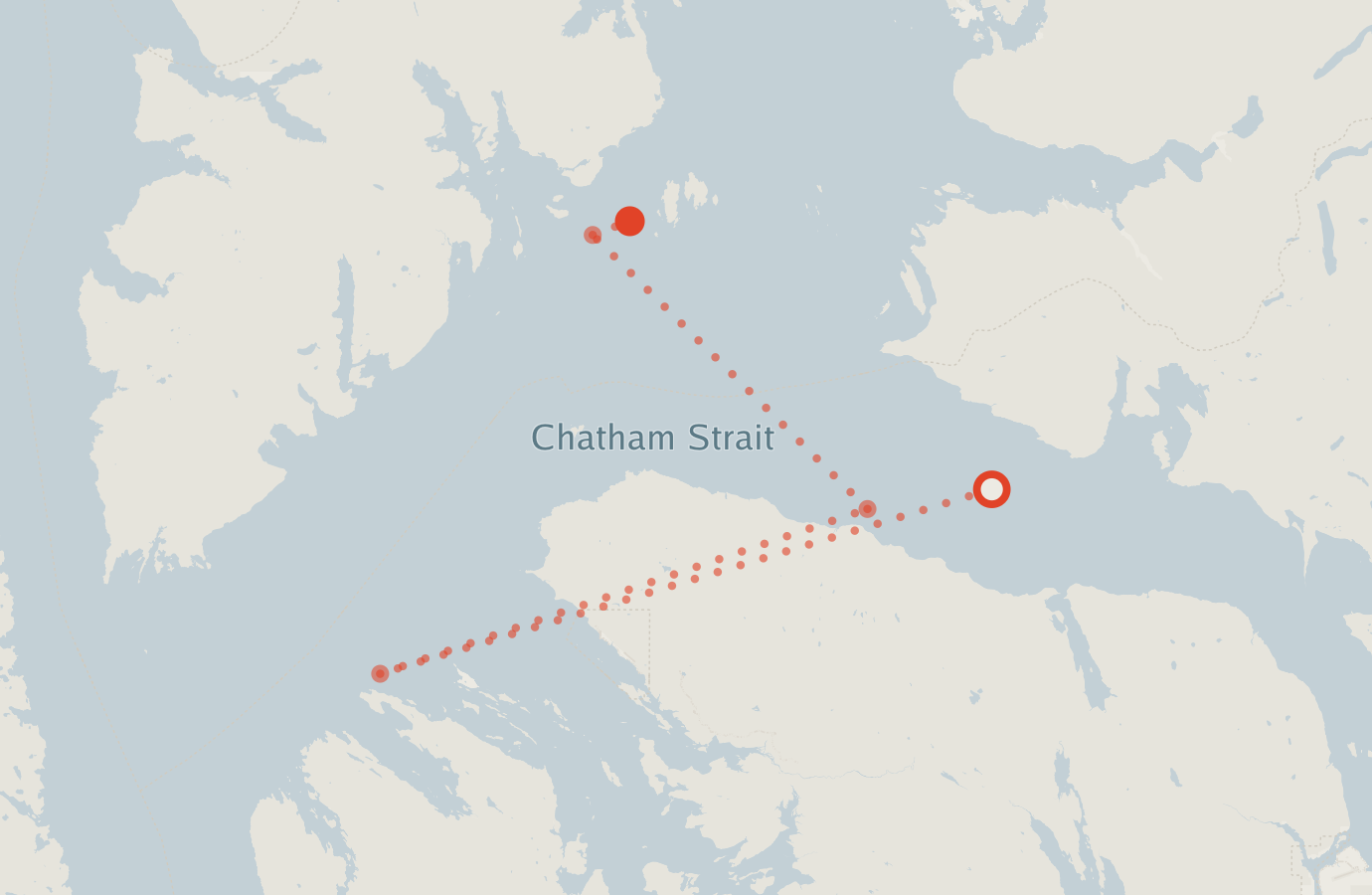 Activity map — real sighting points on an OpenStreetMap basemap