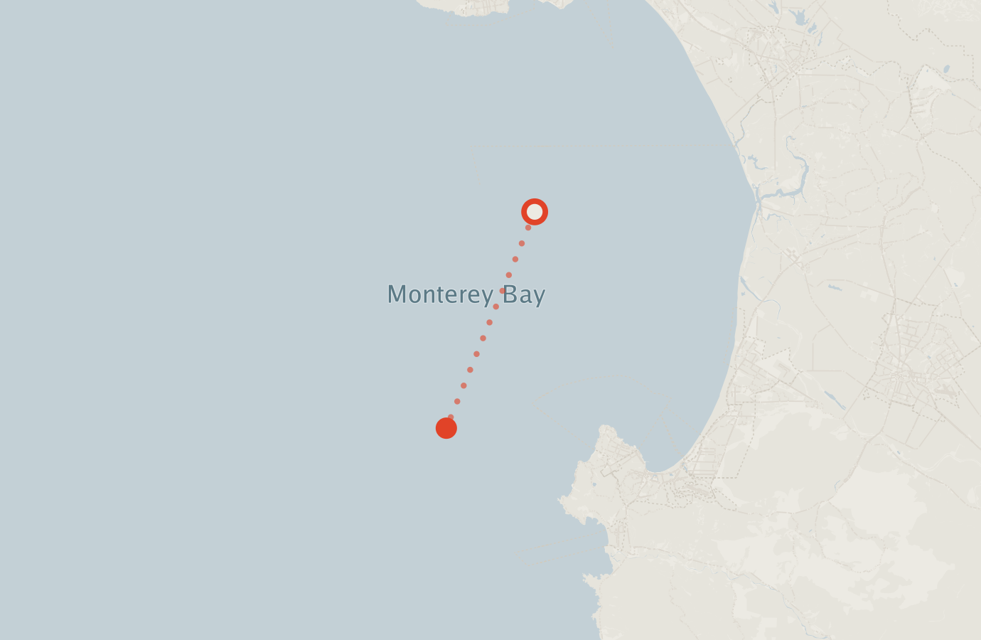 Activity map — real sighting points on an OpenStreetMap basemap