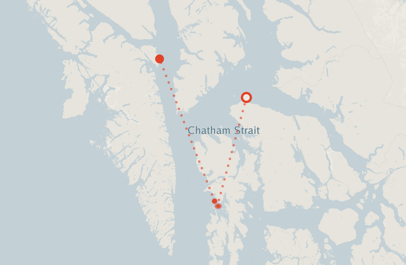 Activity map — real sighting points on an OpenStreetMap basemap