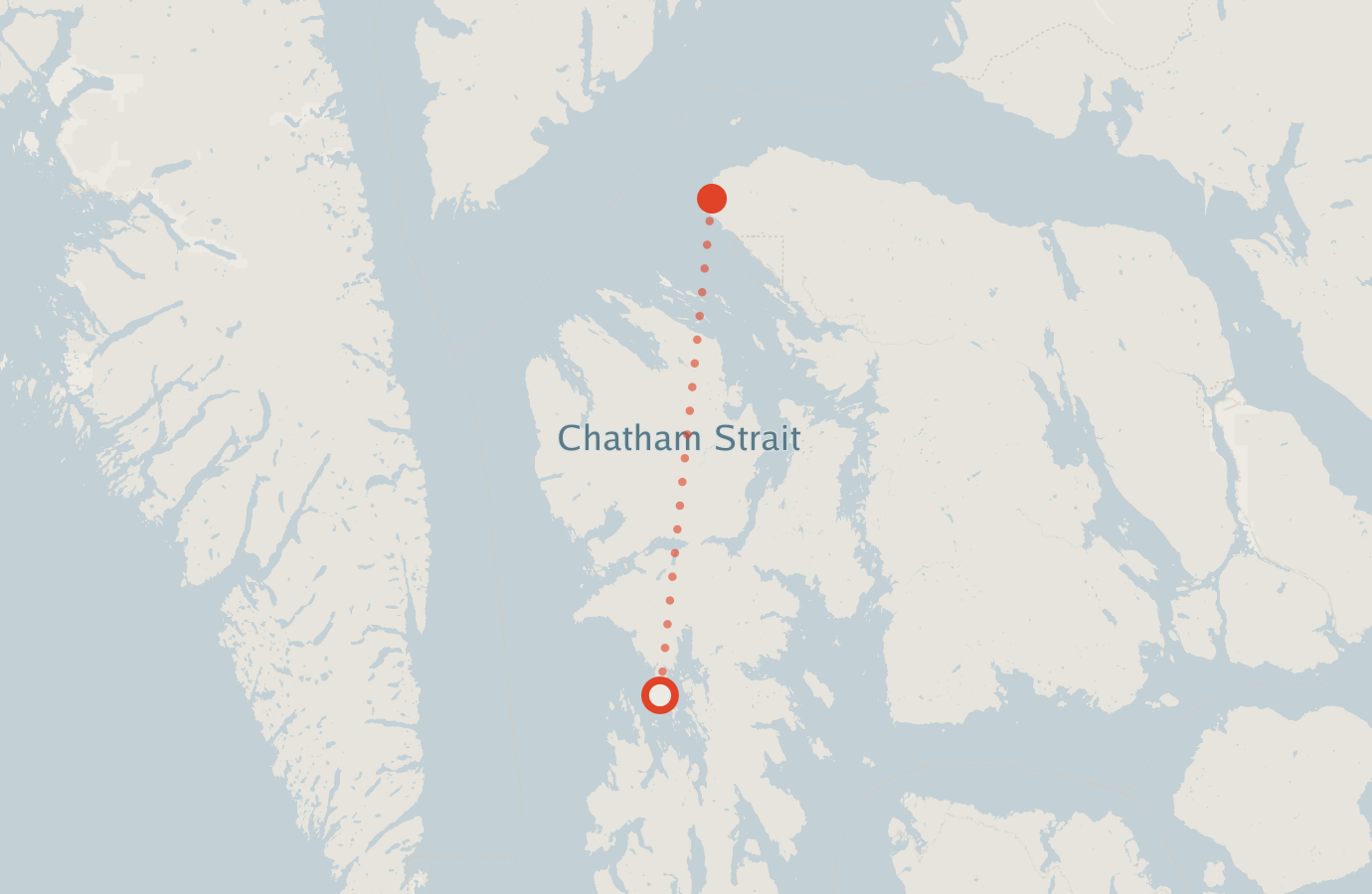 Activity map — real sighting points on an OpenStreetMap basemap