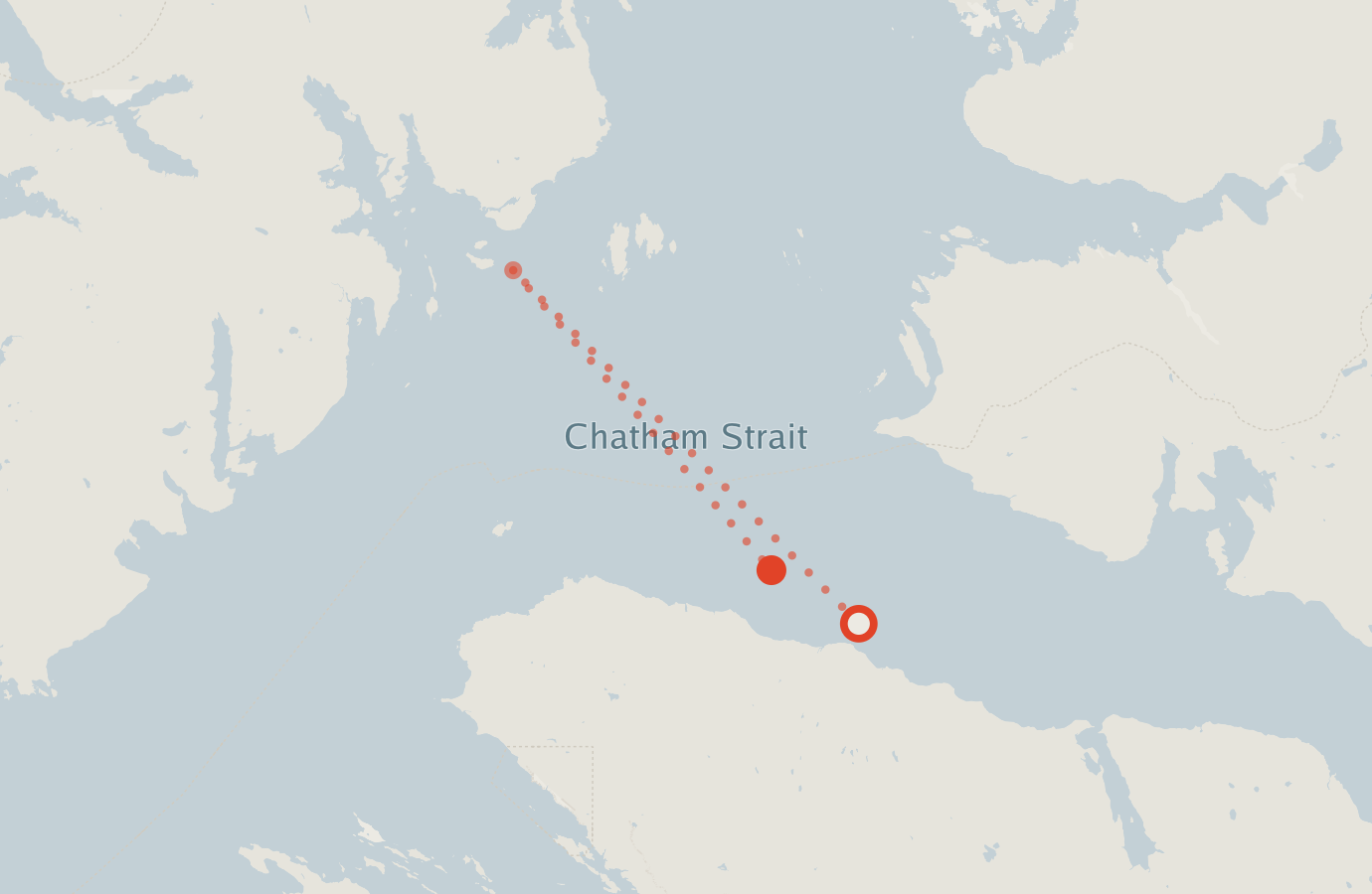 Activity map — real sighting points on an OpenStreetMap basemap