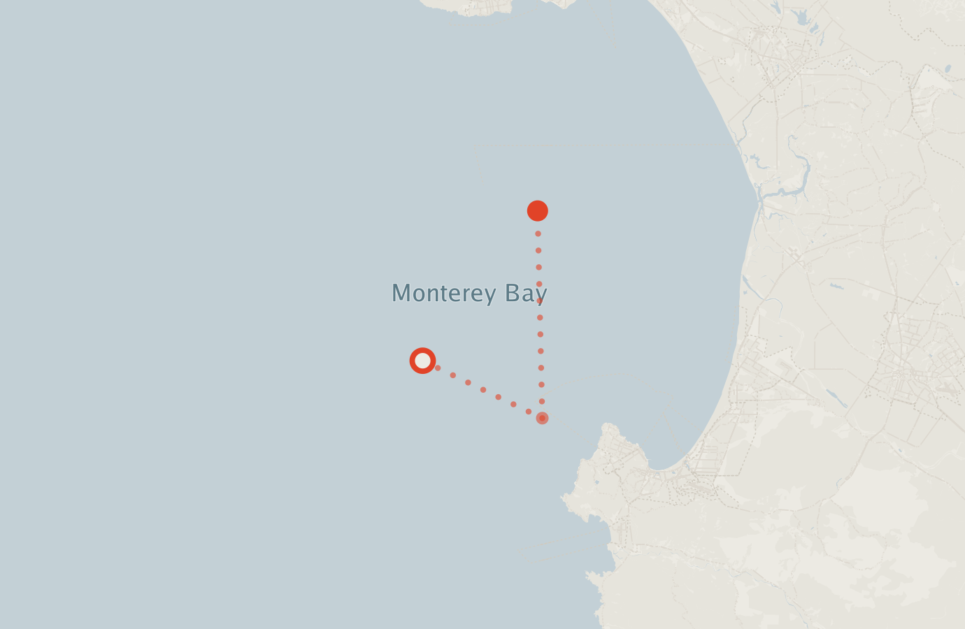Activity map — real sighting points on an OpenStreetMap basemap