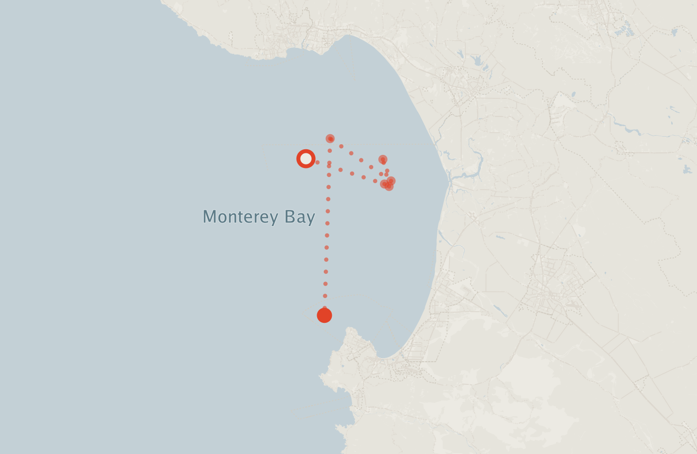 Activity map — real sighting points on an OpenStreetMap basemap