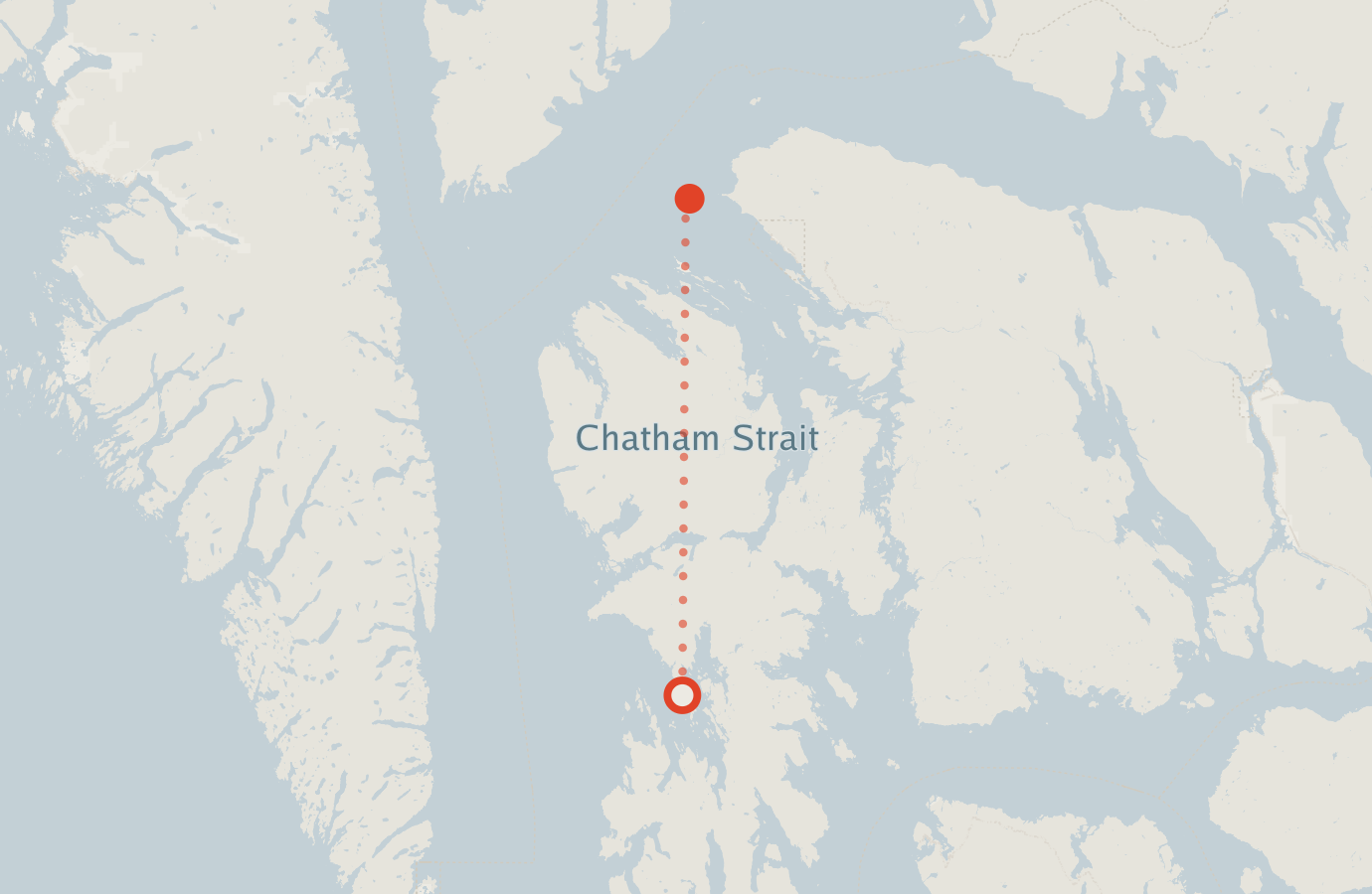 Activity map — real sighting points on an OpenStreetMap basemap