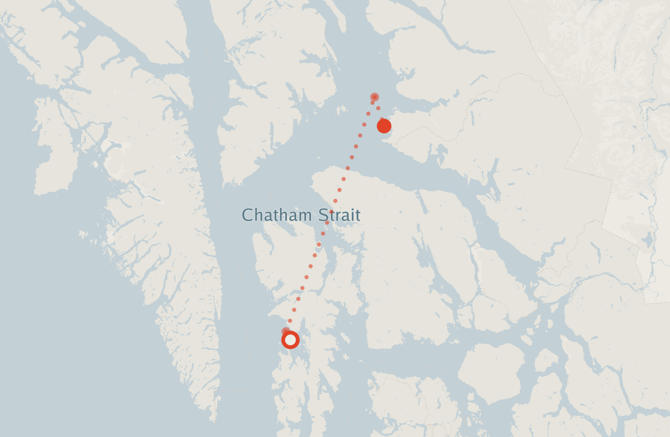 Activity map — real sighting points on an OpenStreetMap basemap
