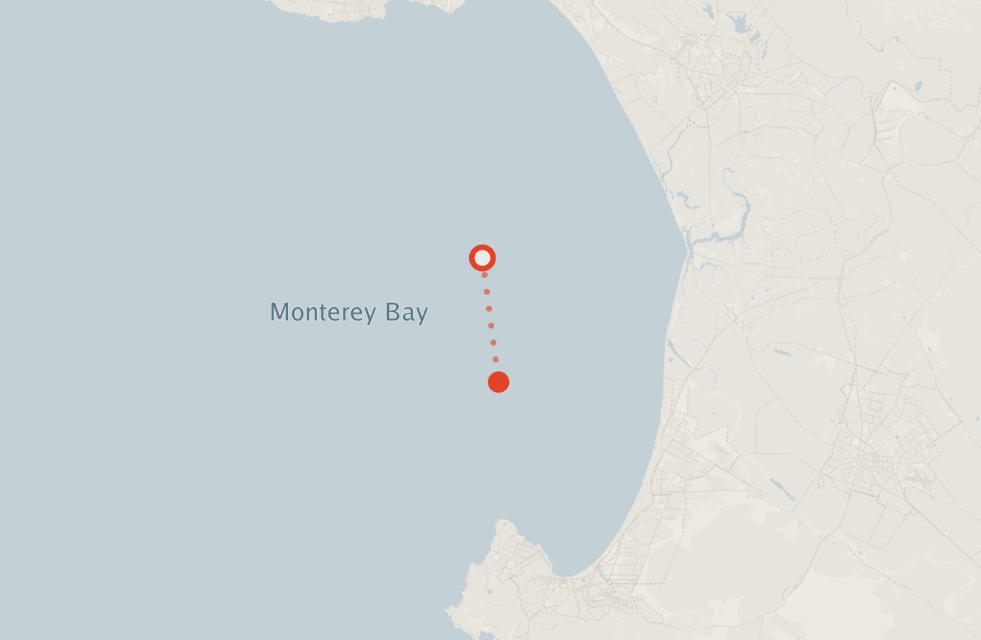 Activity map — real sighting points on an OpenStreetMap basemap