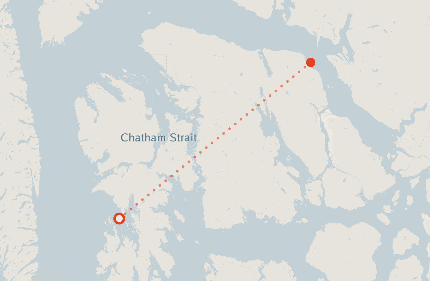 Activity map — real sighting points on an OpenStreetMap basemap