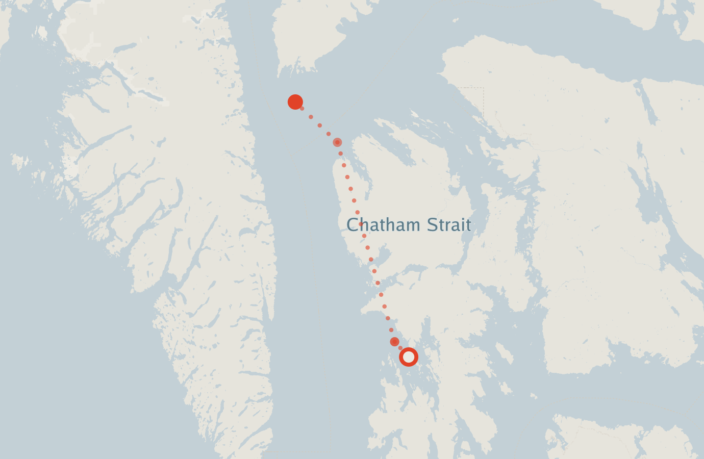 Activity map — real sighting points on an OpenStreetMap basemap