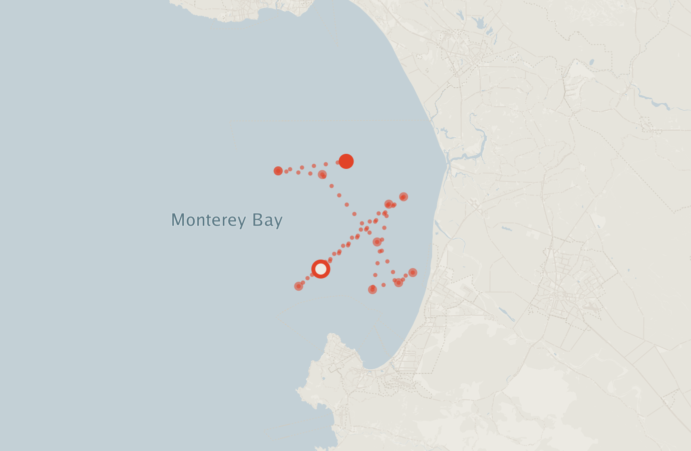 Activity map — real sighting points on an OpenStreetMap basemap