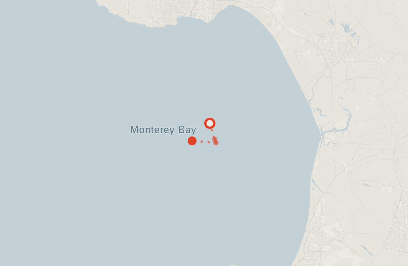 Activity map — real sighting points on an OpenStreetMap basemap