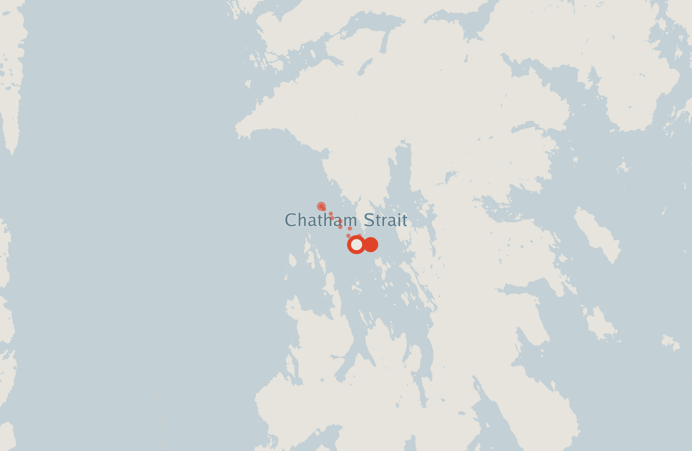 Activity map — real sighting points on an OpenStreetMap basemap