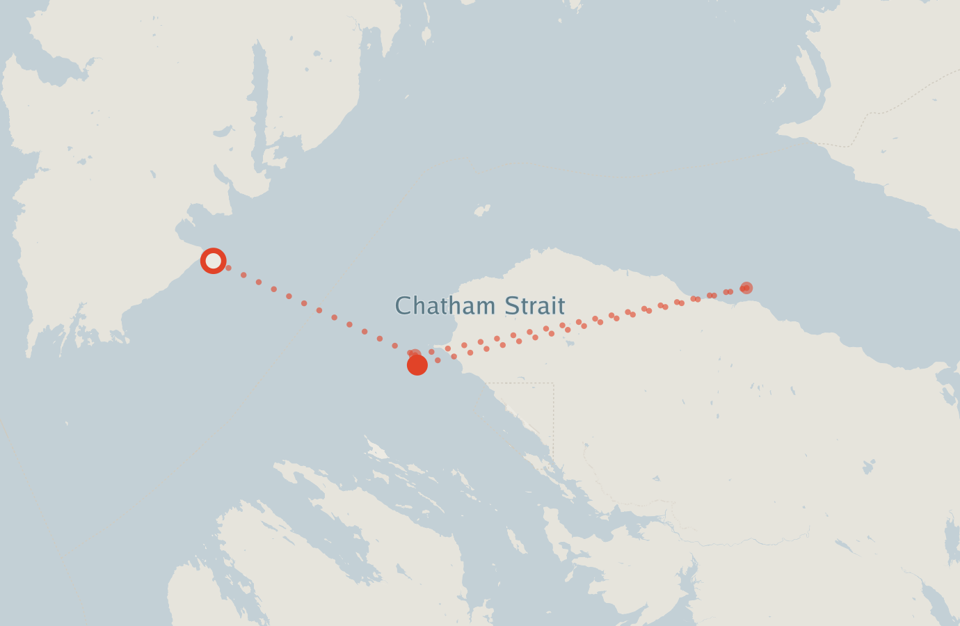 Activity map — real sighting points on an OpenStreetMap basemap