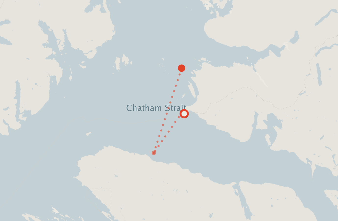 Activity map — real sighting points on an OpenStreetMap basemap