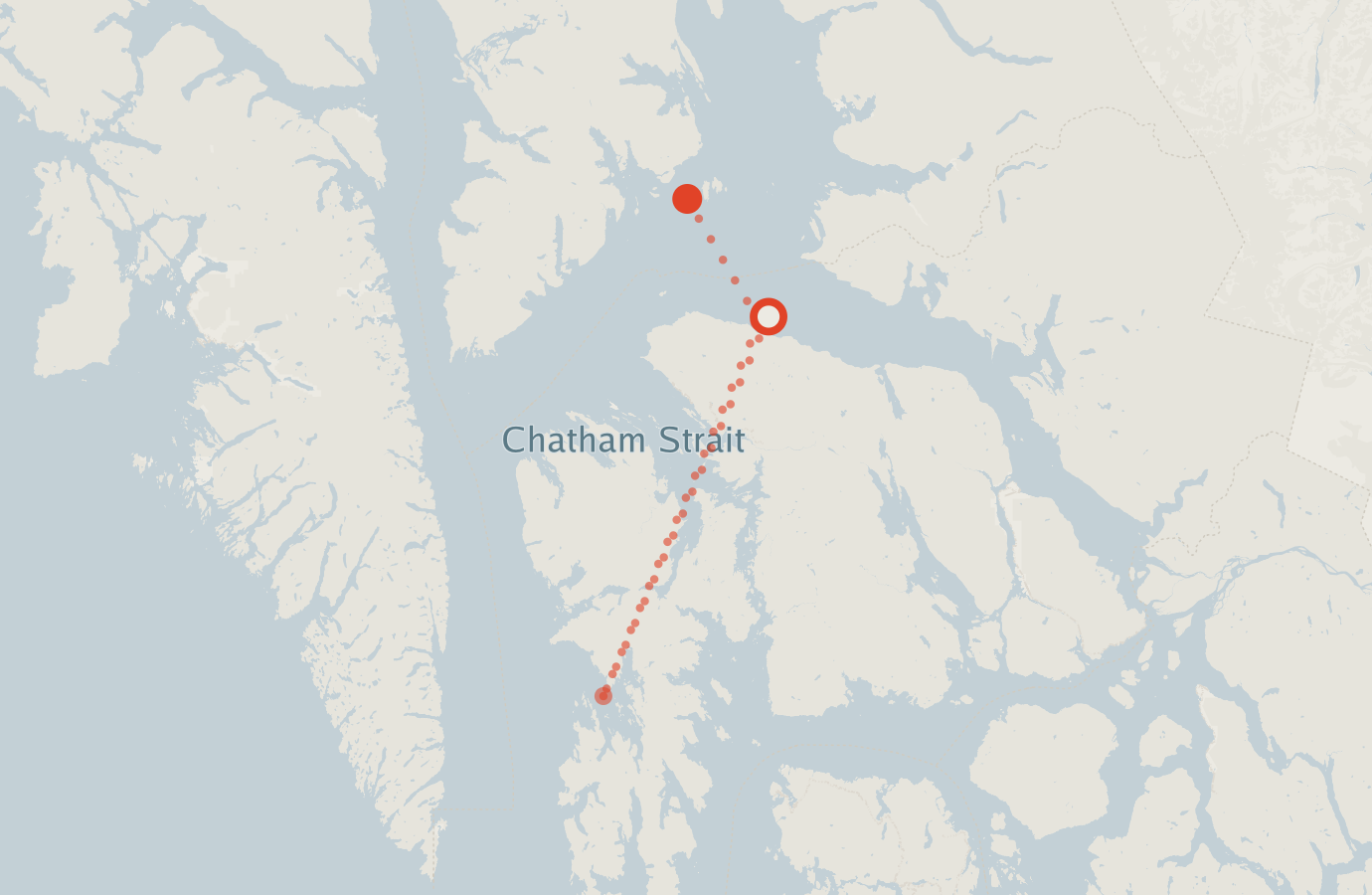 Activity map — real sighting points on an OpenStreetMap basemap