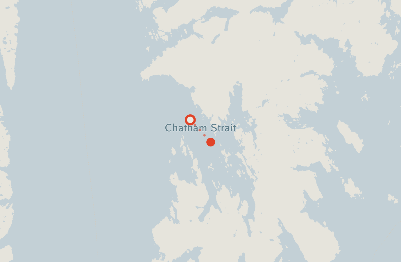 Activity map — real sighting points on an OpenStreetMap basemap