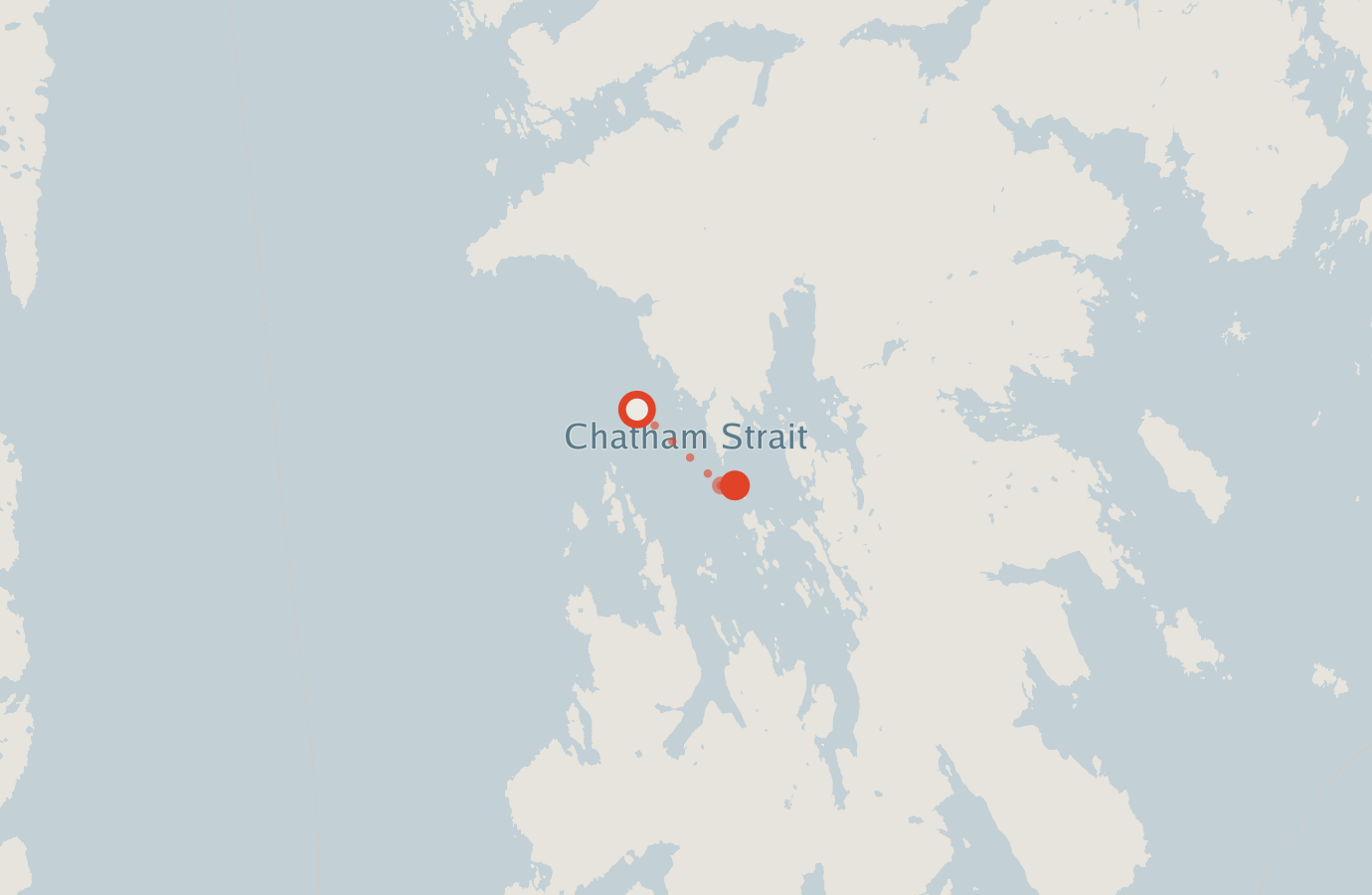Activity map — real sighting points on an OpenStreetMap basemap