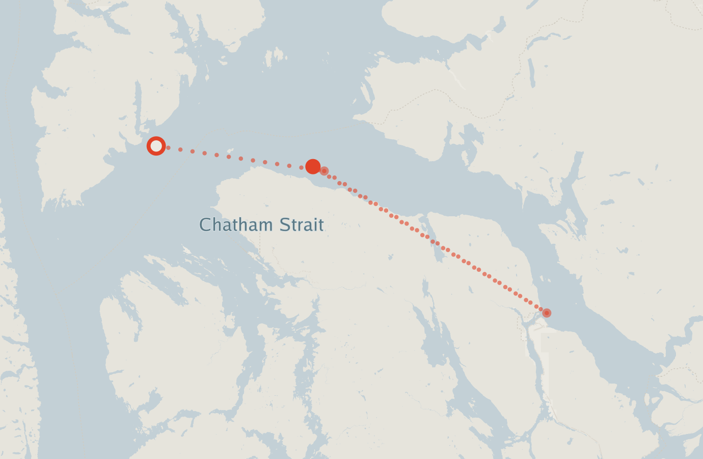 Activity map — real sighting points on an OpenStreetMap basemap
