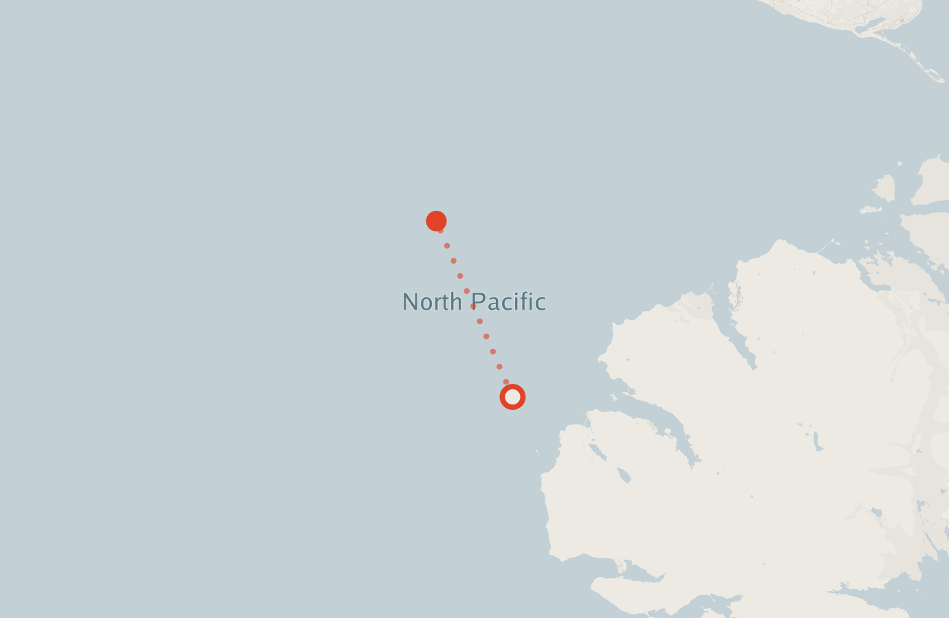 Activity map — real sighting points on an OpenStreetMap basemap