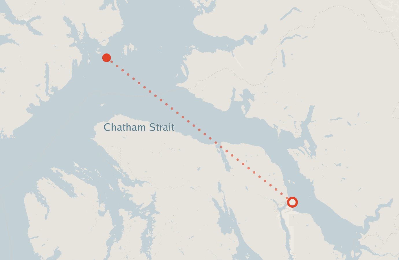 Activity map — real sighting points on an OpenStreetMap basemap