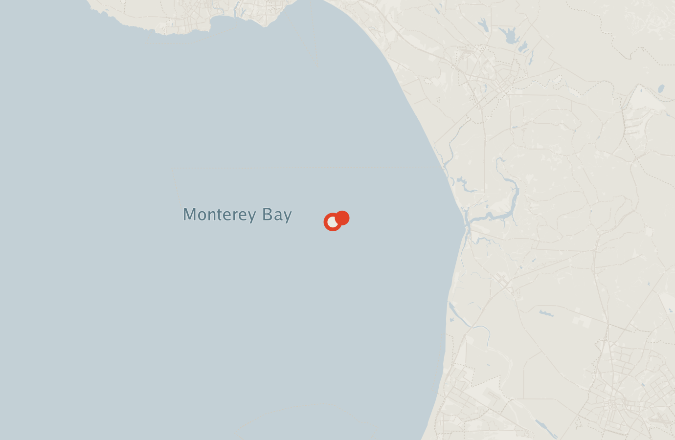 Activity map — real sighting points on an OpenStreetMap basemap