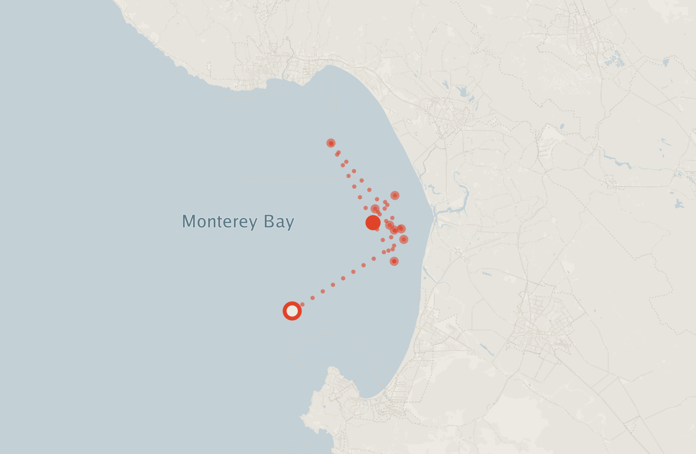 Activity map — real sighting points on an OpenStreetMap basemap
