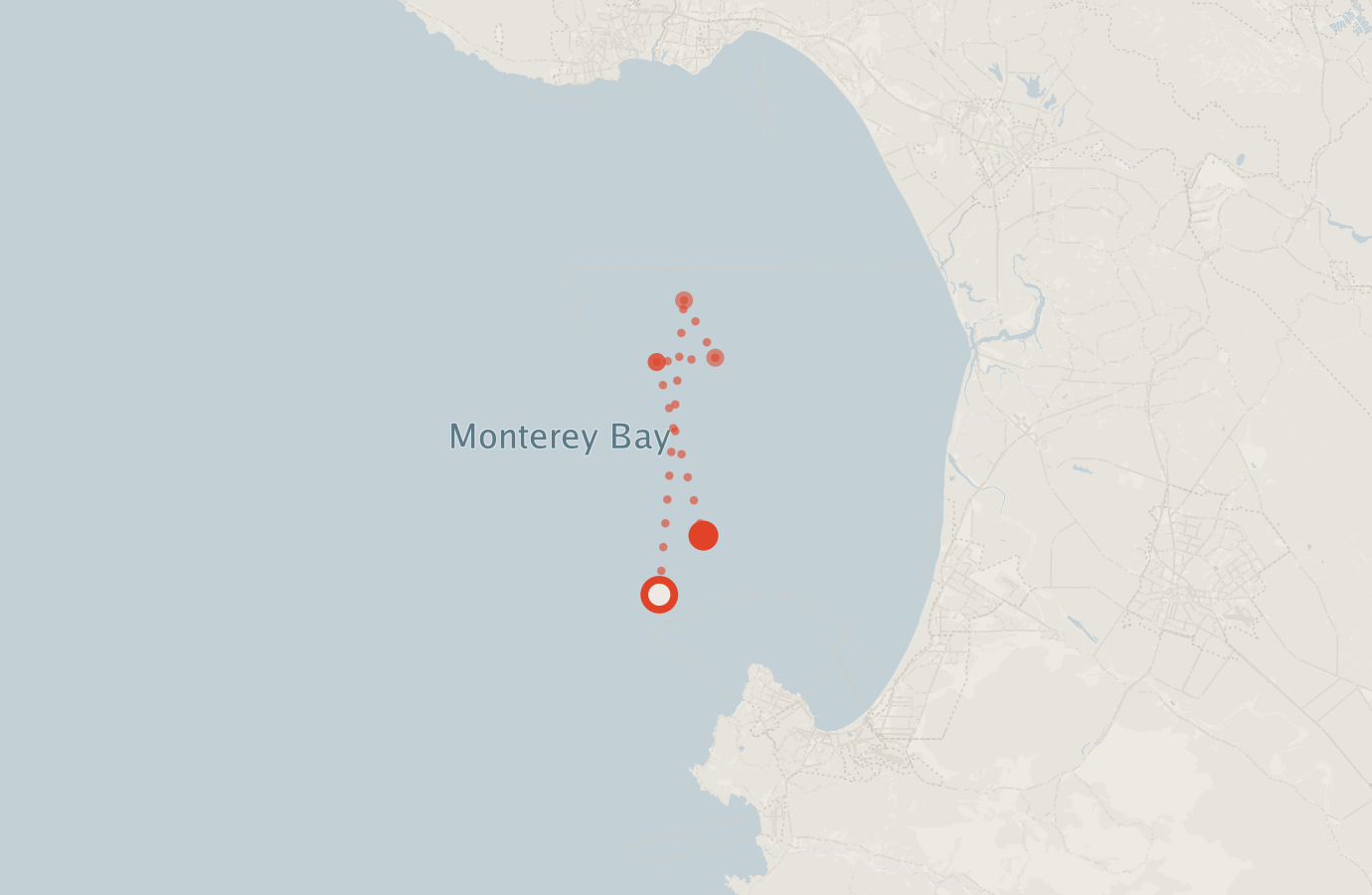 Activity map — real sighting points on an OpenStreetMap basemap