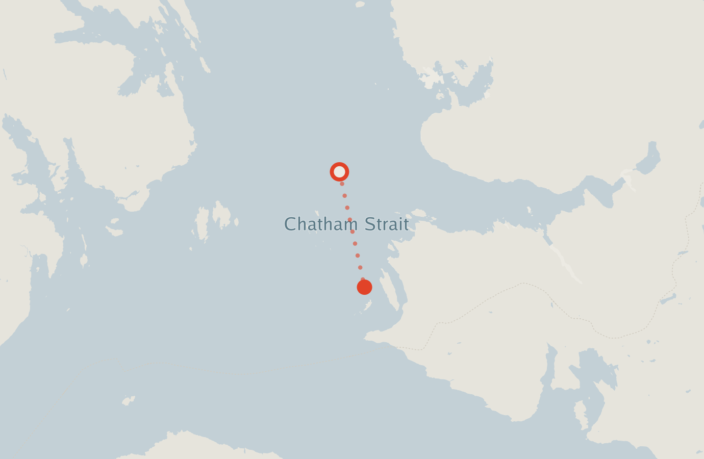 Activity map — real sighting points on an OpenStreetMap basemap