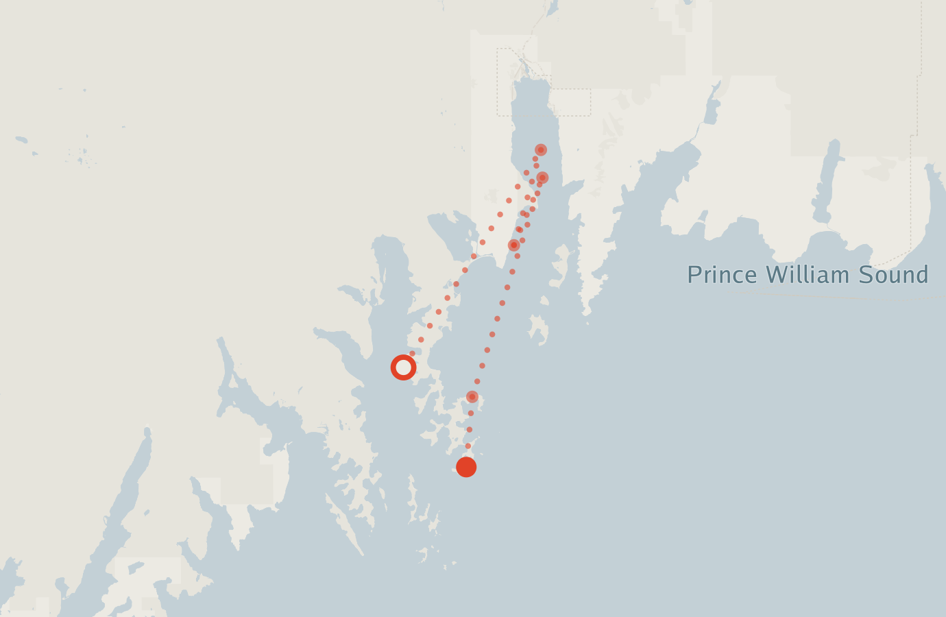 Activity map — real sighting points on an OpenStreetMap basemap