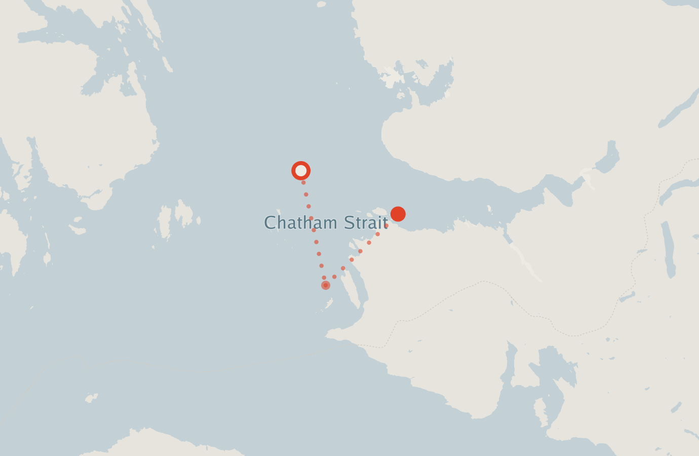 Activity map — real sighting points on an OpenStreetMap basemap