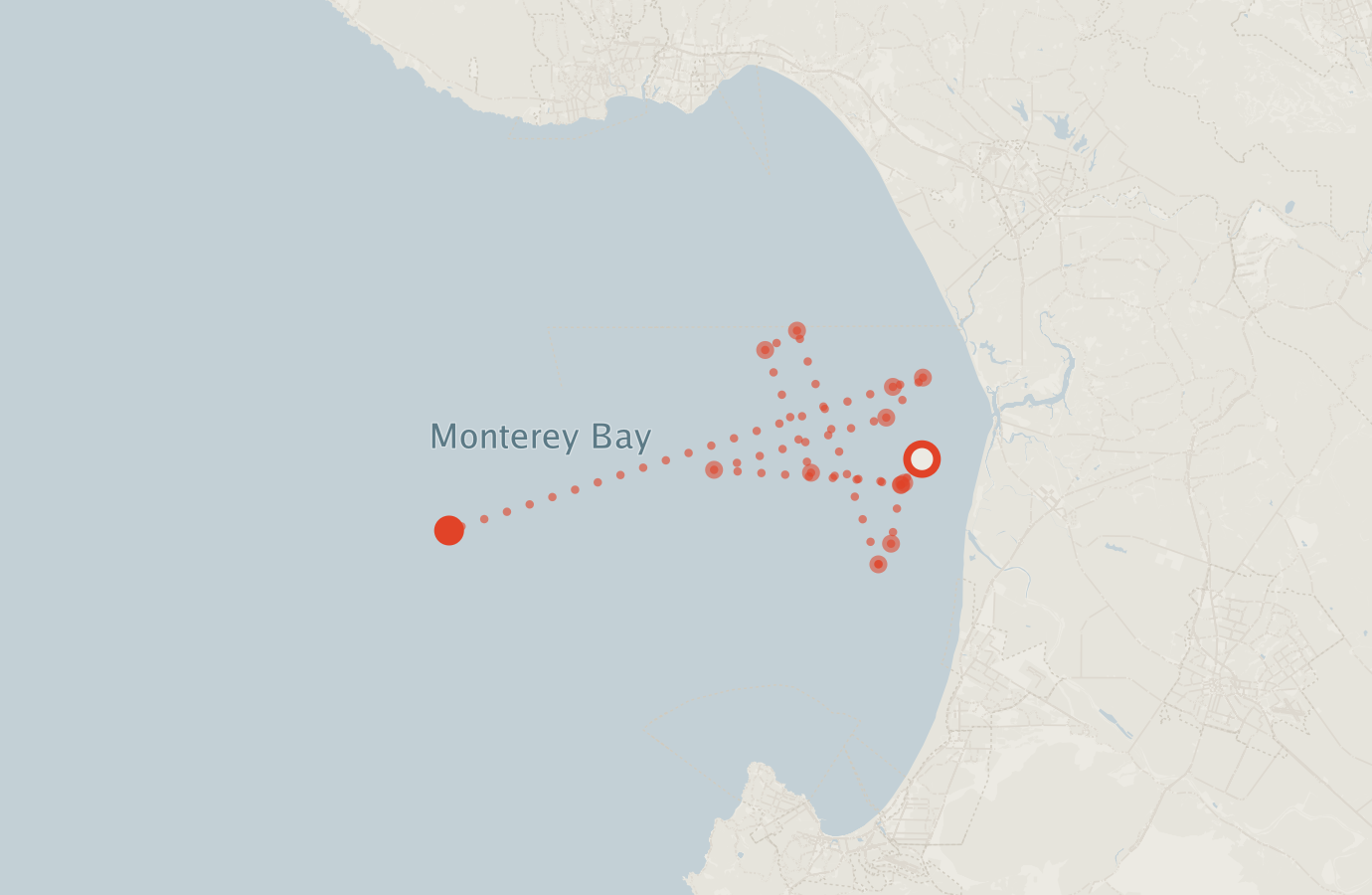 Activity map — real sighting points on an OpenStreetMap basemap