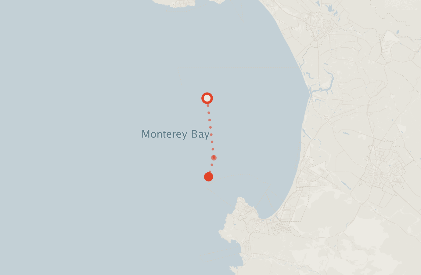 Activity map — real sighting points on an OpenStreetMap basemap