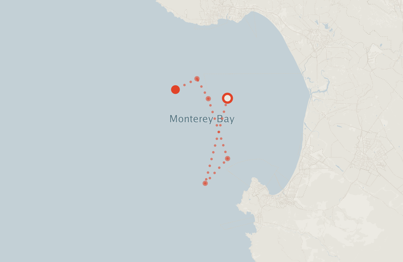 Activity map — real sighting points on an OpenStreetMap basemap