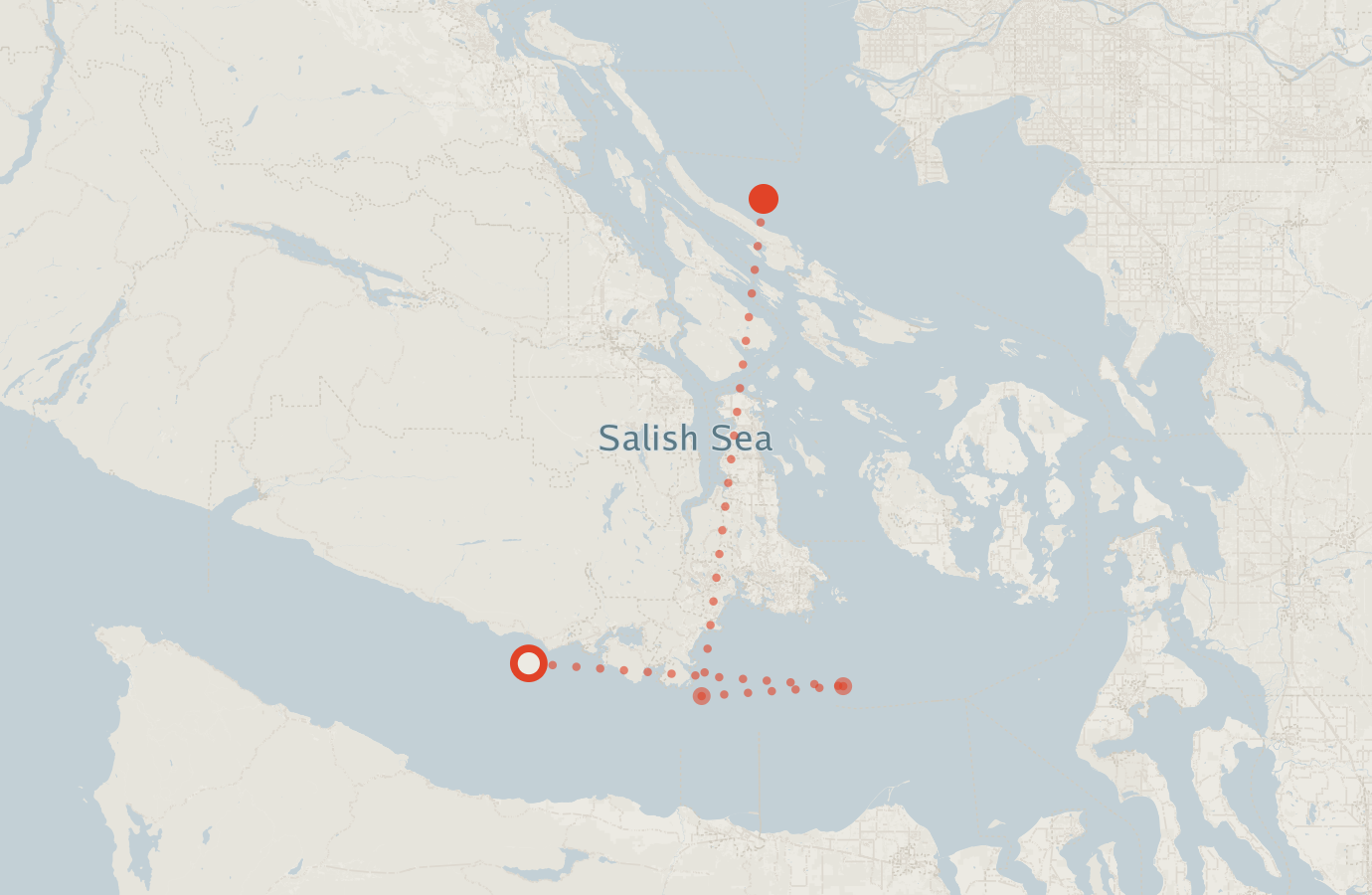 Activity map — real sighting points on an OpenStreetMap basemap