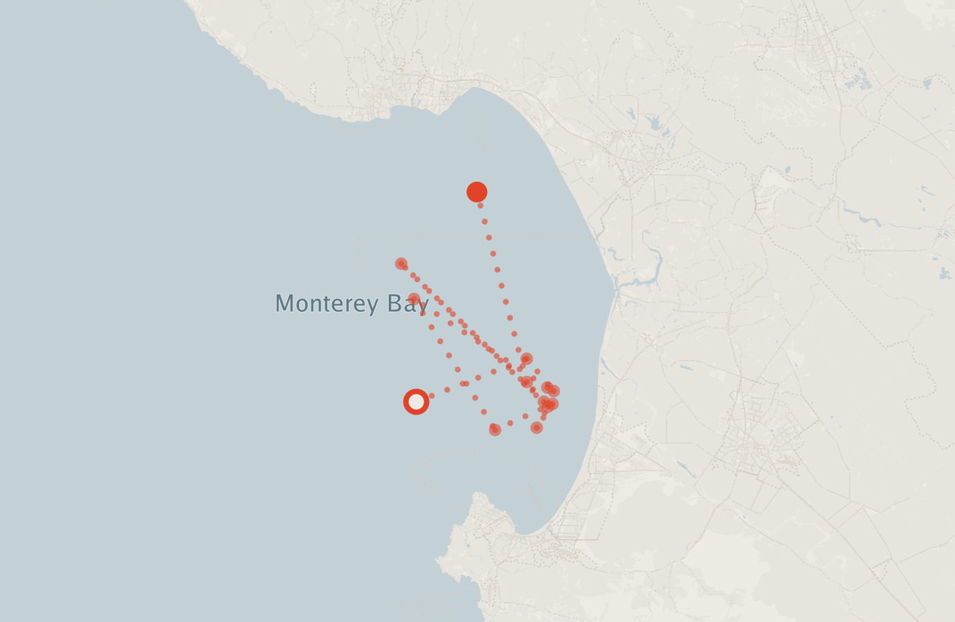 Activity map — real sighting points on an OpenStreetMap basemap