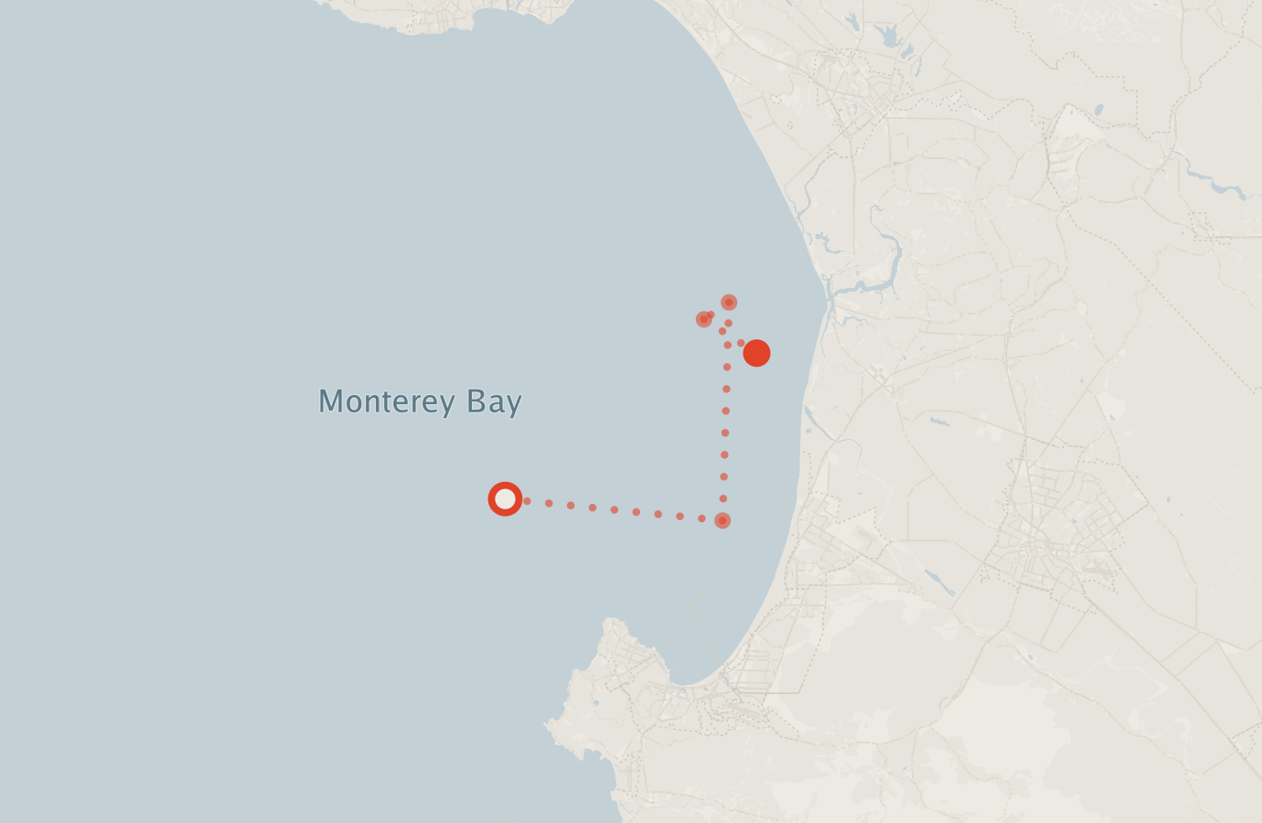 Activity map — real sighting points on an OpenStreetMap basemap