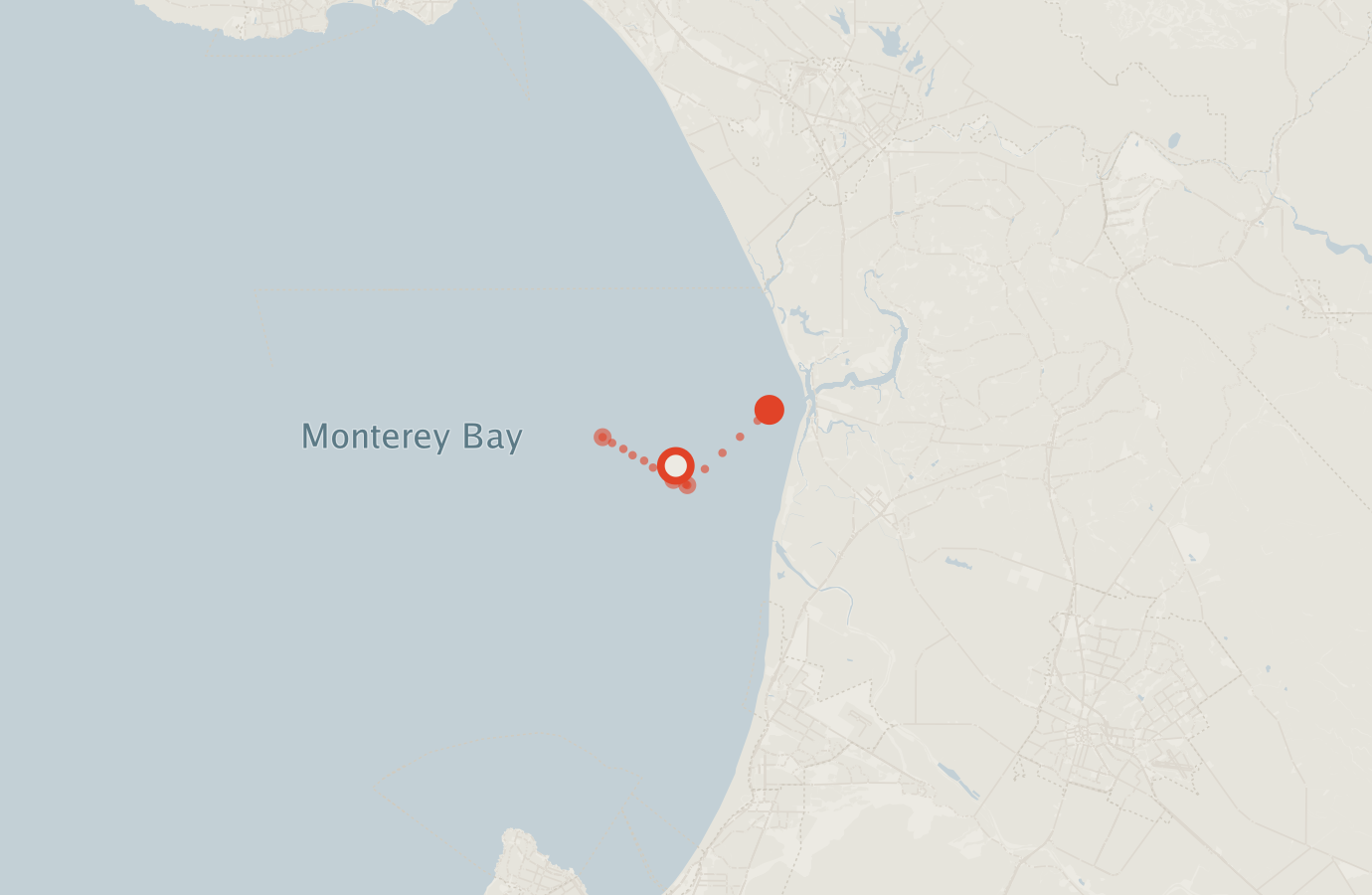 Activity map — real sighting points on an OpenStreetMap basemap