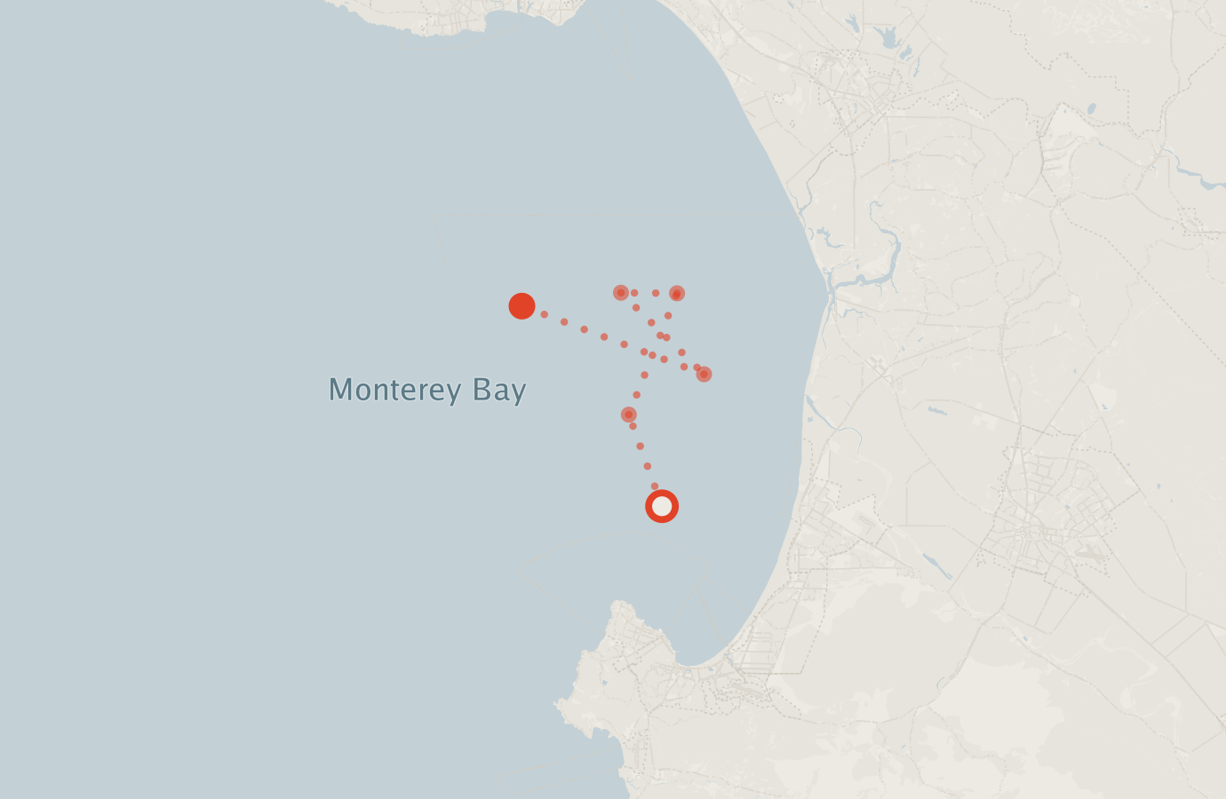 Activity map — real sighting points on an OpenStreetMap basemap