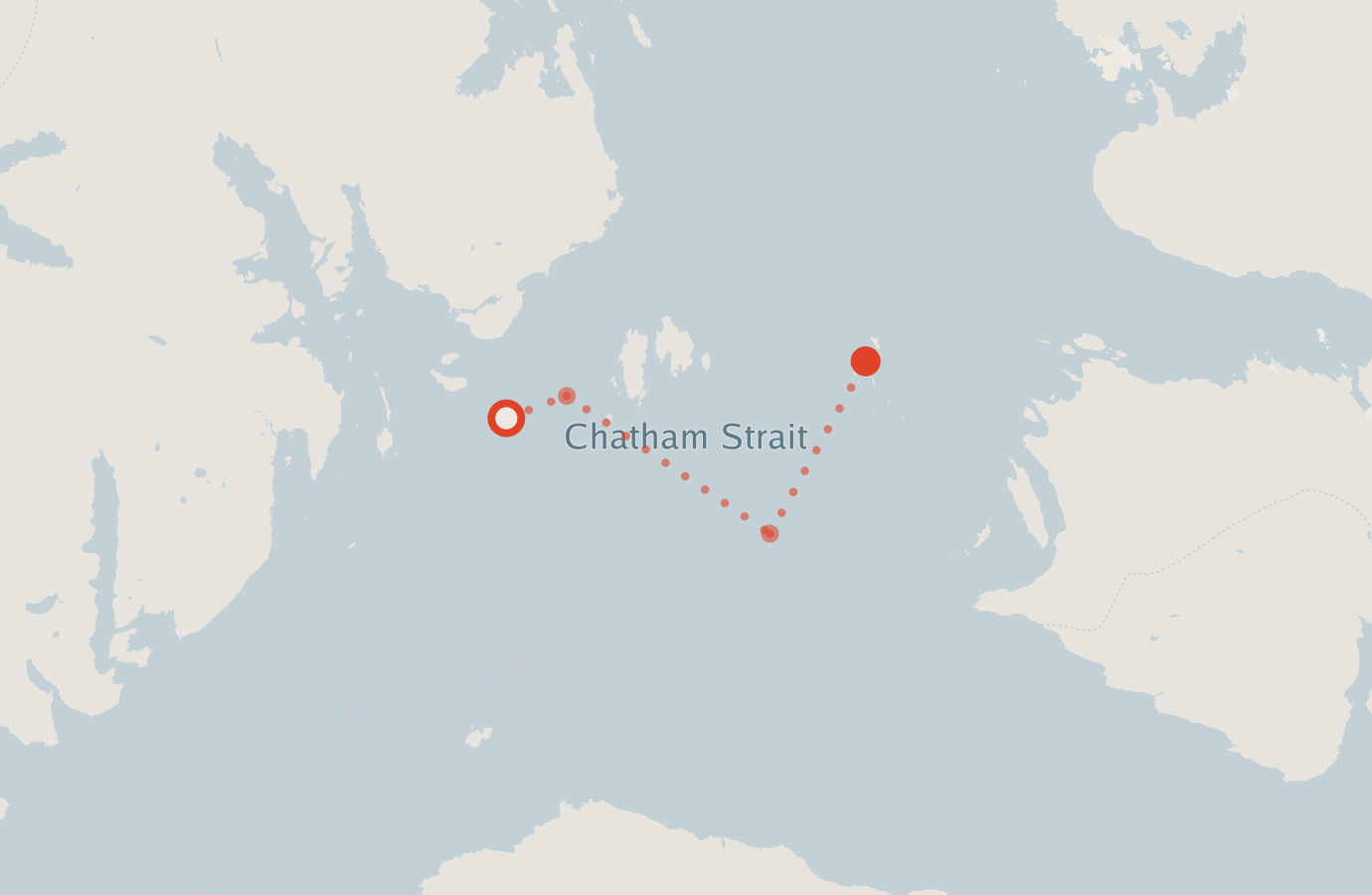 Activity map — real sighting points on an OpenStreetMap basemap