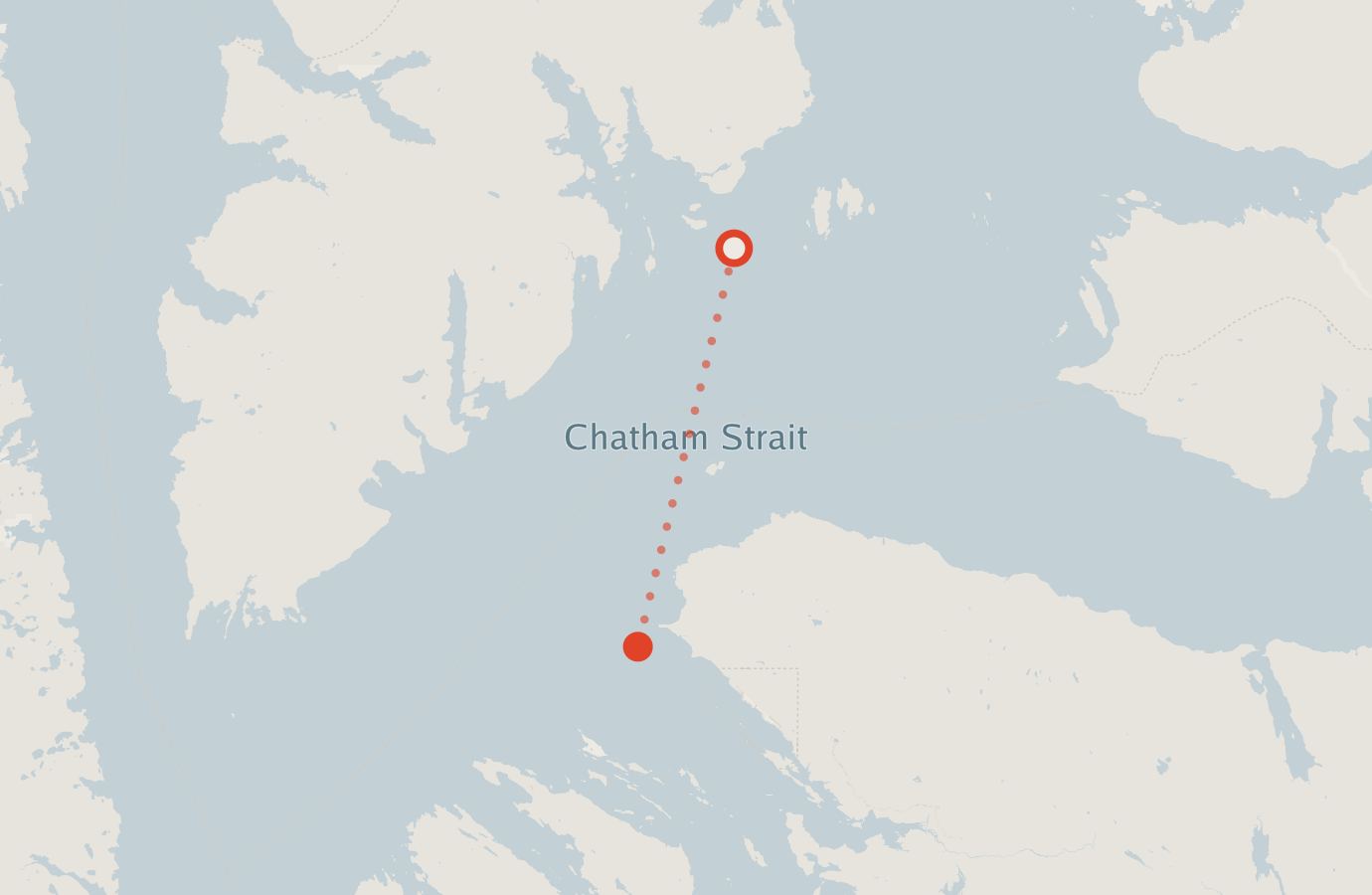 Activity map — real sighting points on an OpenStreetMap basemap