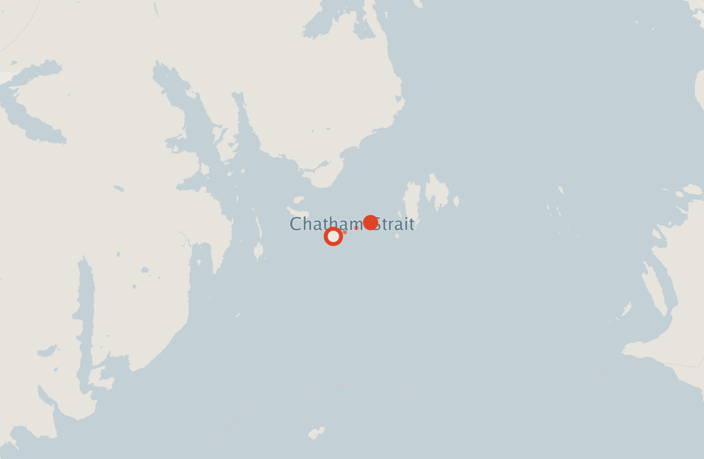 Activity map — real sighting points on an OpenStreetMap basemap