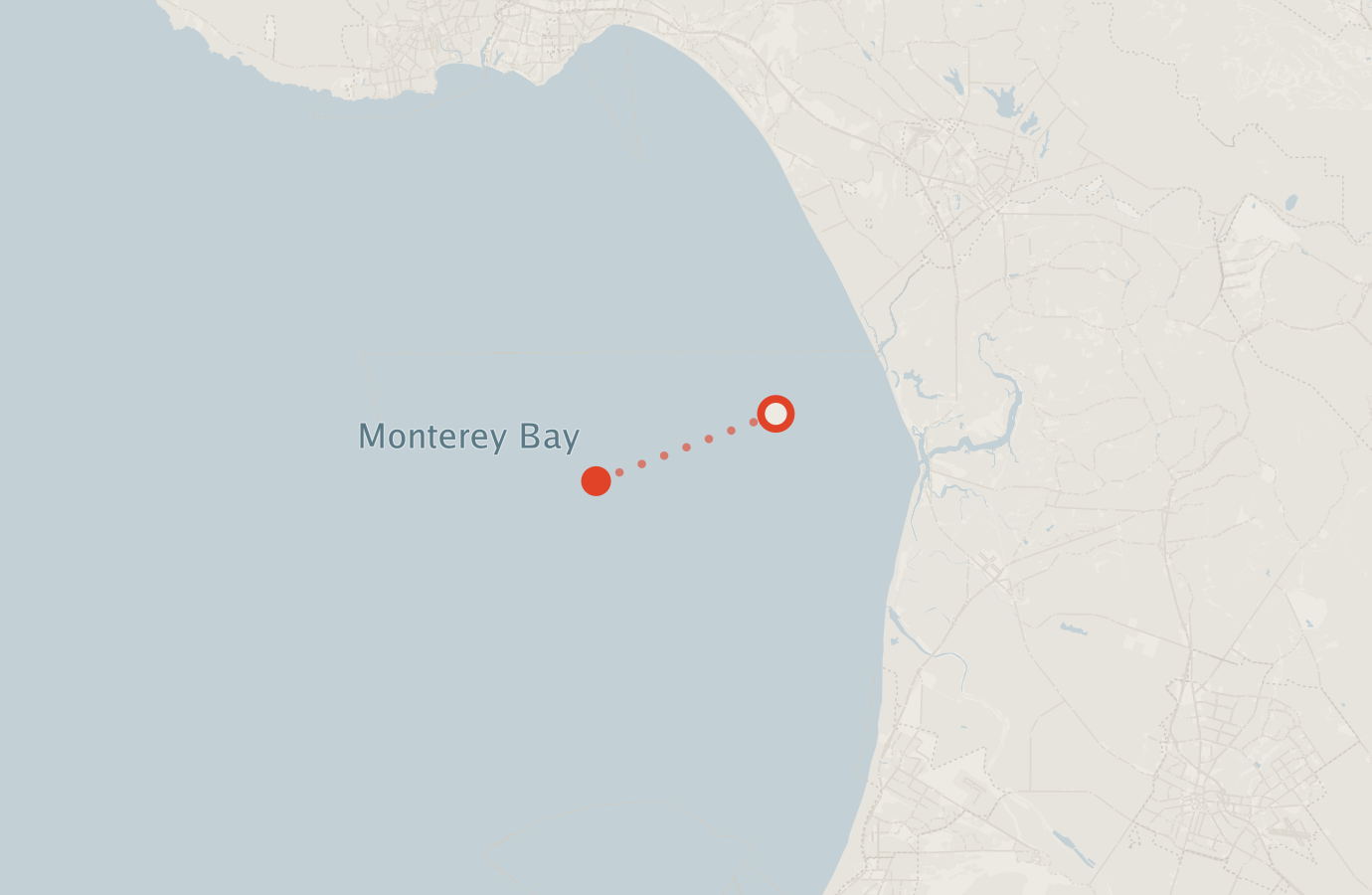 Activity map — real sighting points on an OpenStreetMap basemap