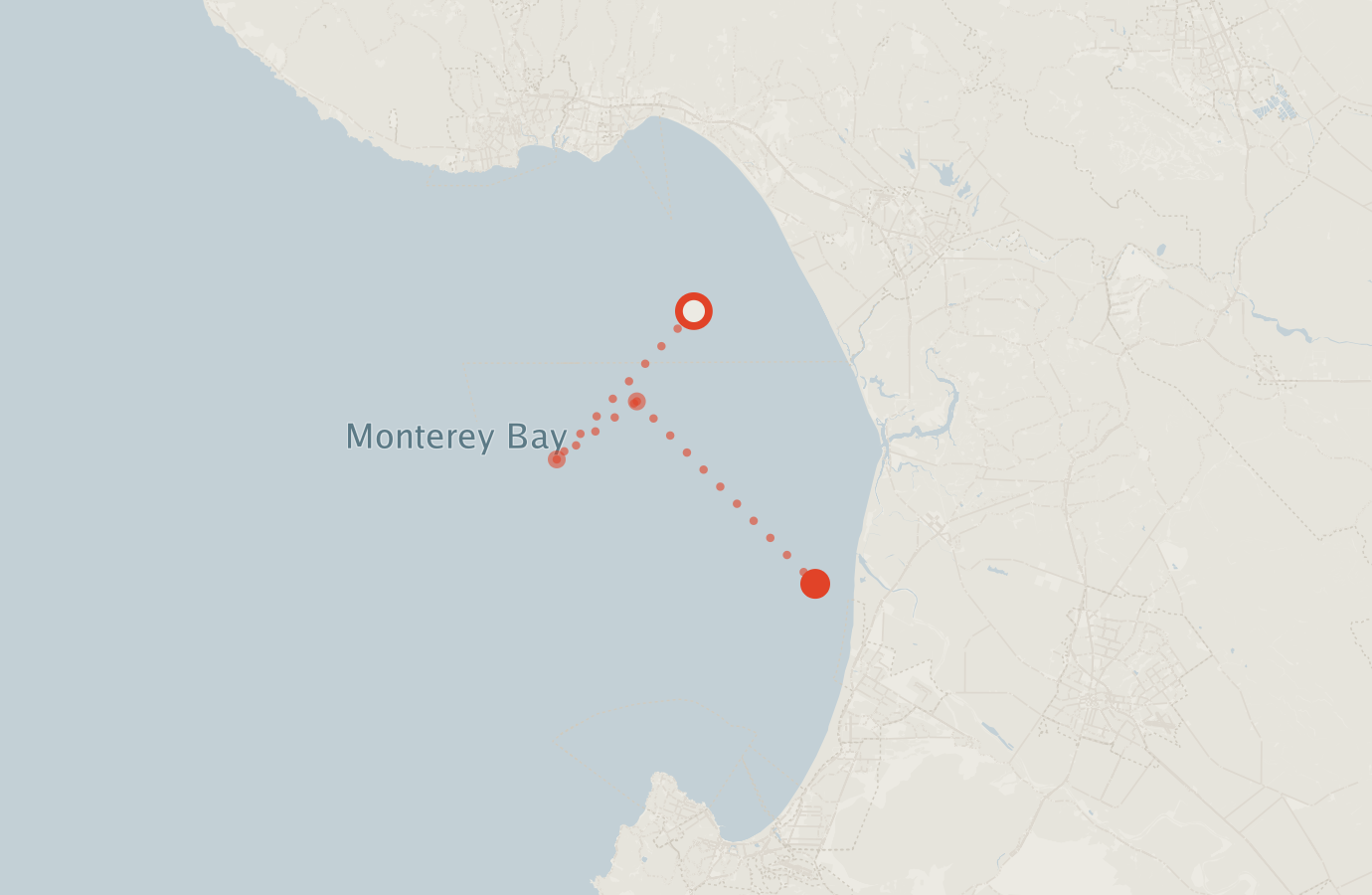 Activity map — real sighting points on an OpenStreetMap basemap