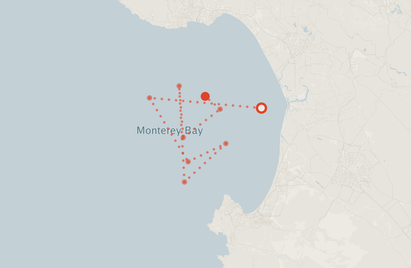Activity map — real sighting points on an OpenStreetMap basemap