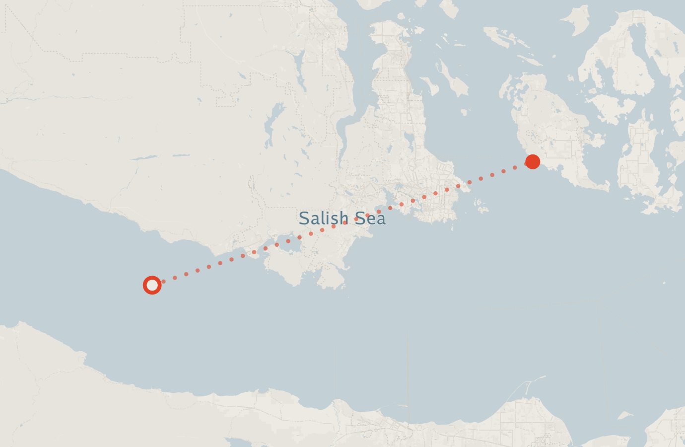 Activity map — real sighting points on an OpenStreetMap basemap