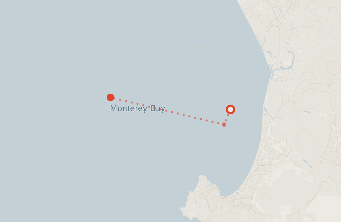 Activity map — real sighting points on an OpenStreetMap basemap