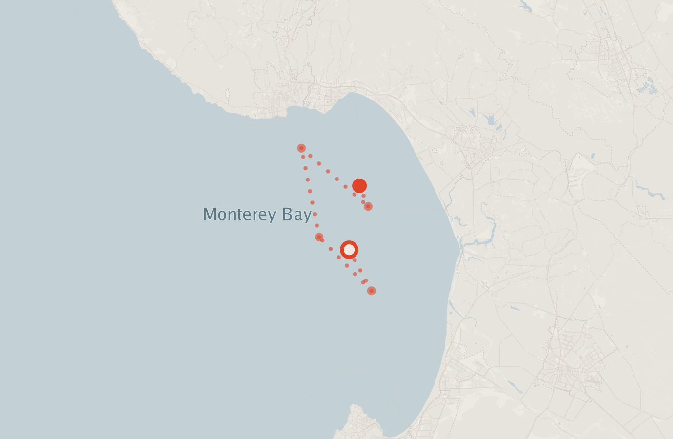 Activity map — real sighting points on an OpenStreetMap basemap