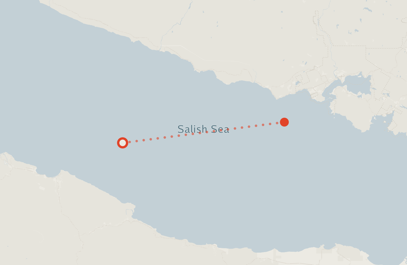 Activity map — real sighting points on an OpenStreetMap basemap