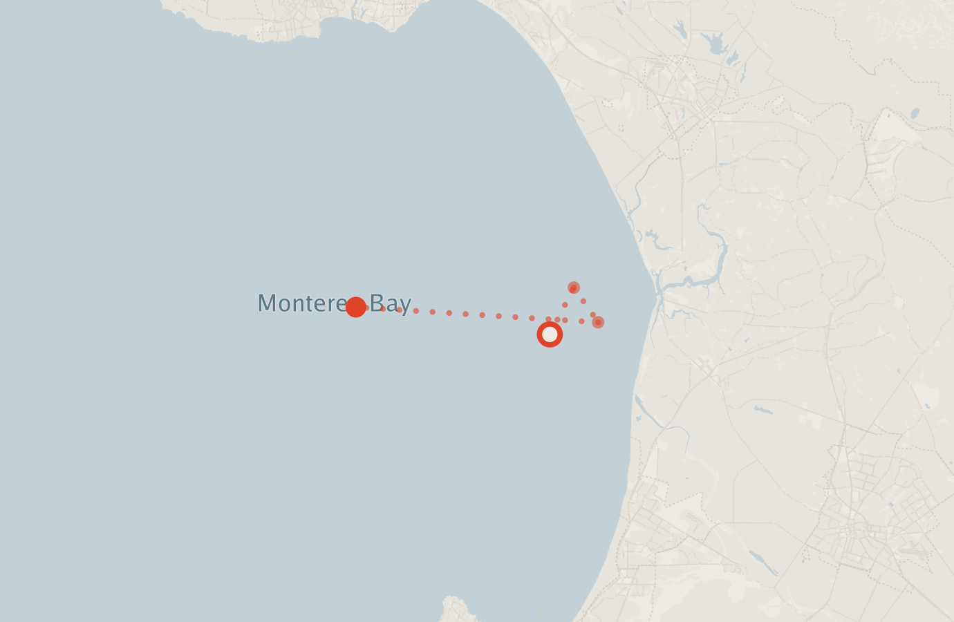 Activity map — real sighting points on an OpenStreetMap basemap