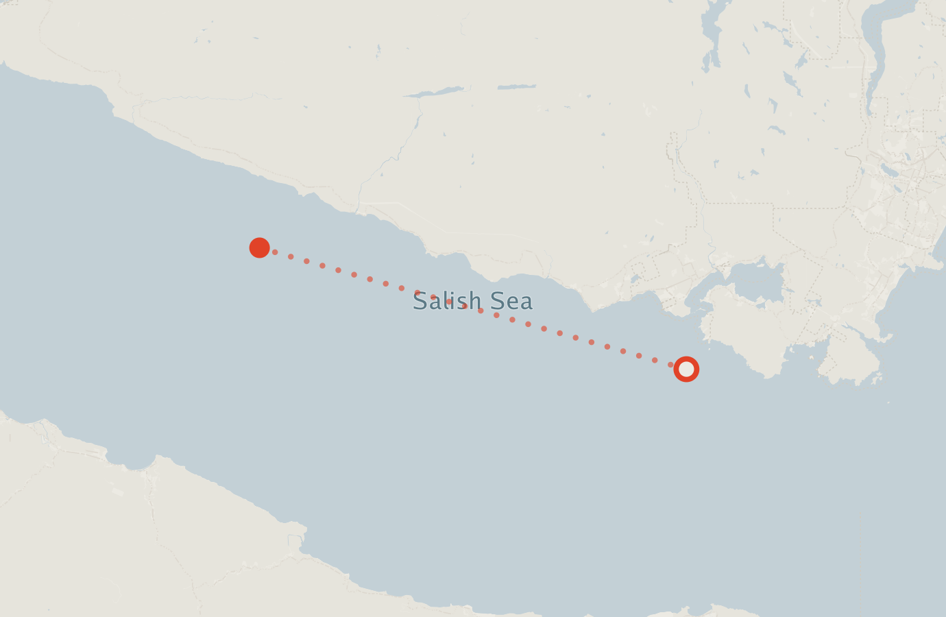 Activity map — real sighting points on an OpenStreetMap basemap
