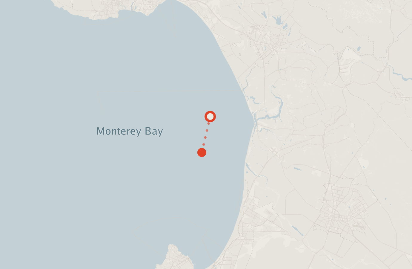 Activity map — real sighting points on an OpenStreetMap basemap